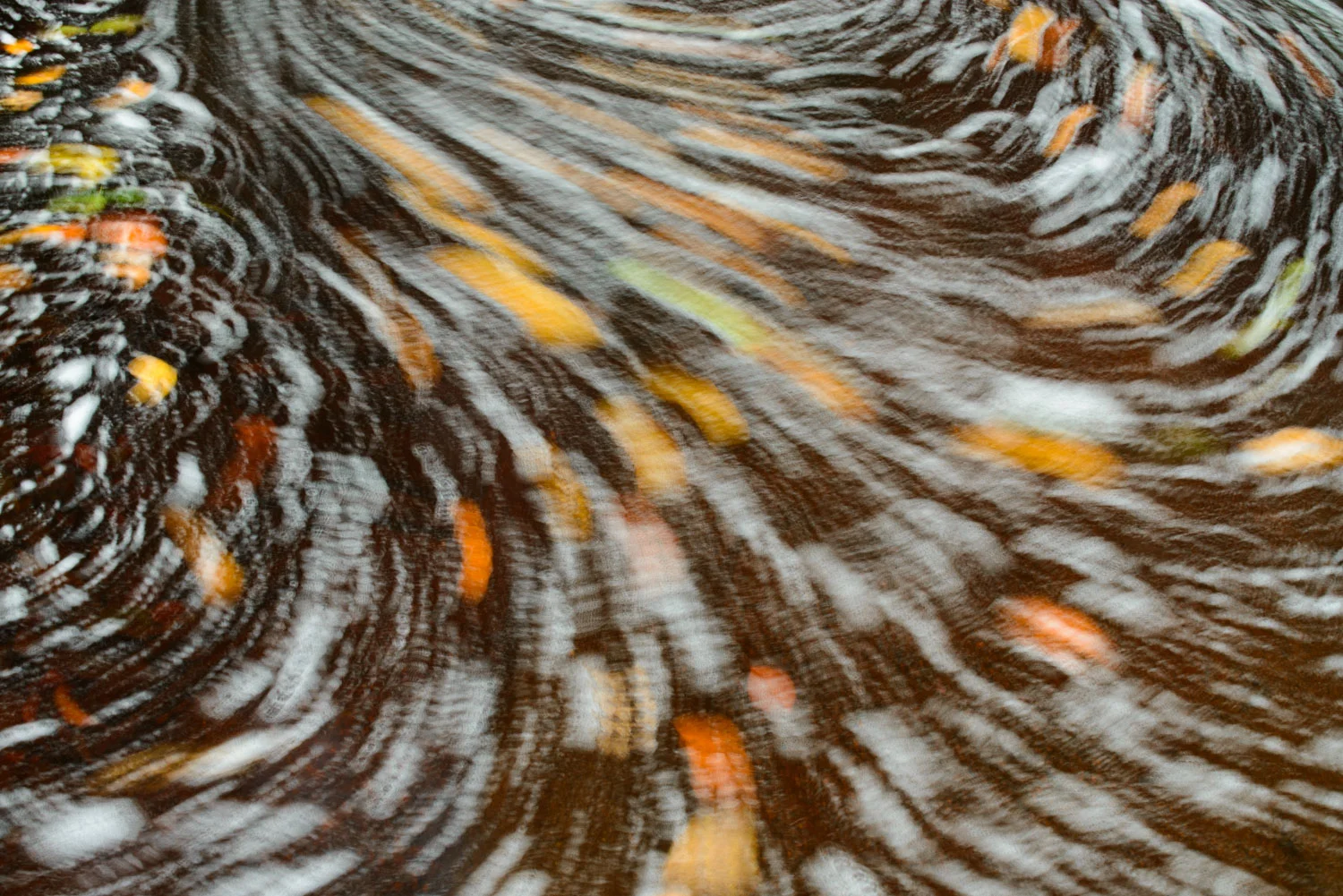 Autumn Leaves