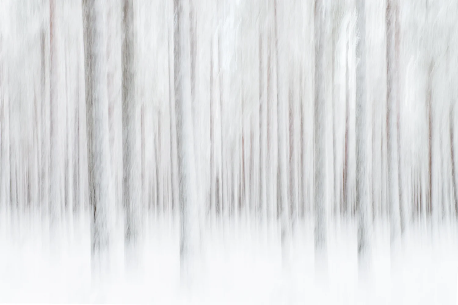 Winter Trees