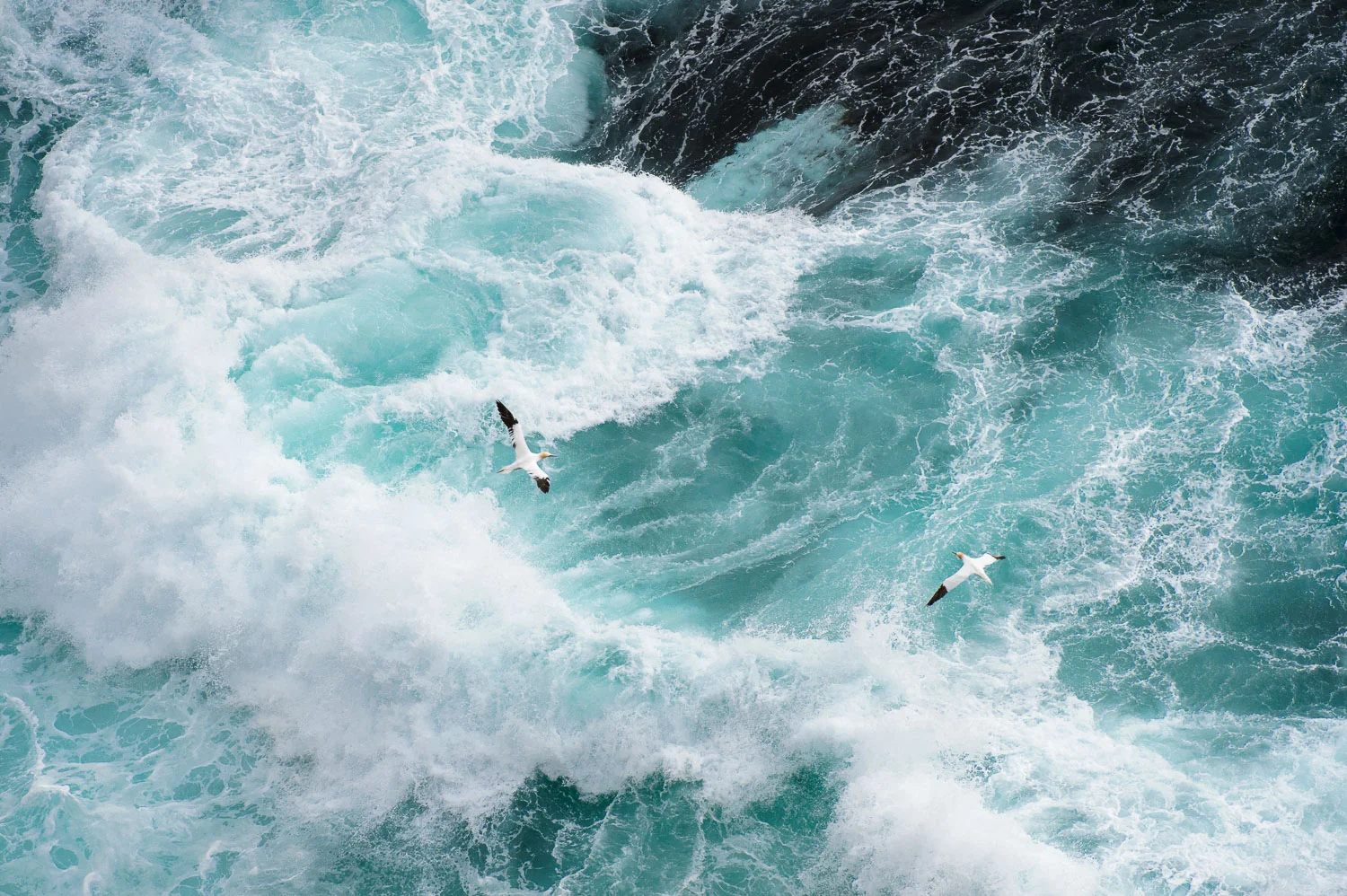 Stormy Seas