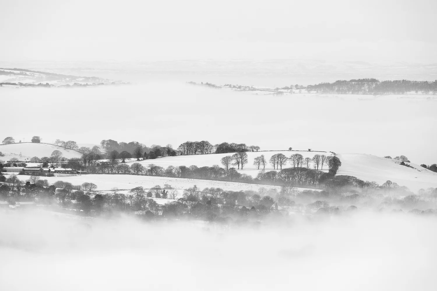 Winter Mist