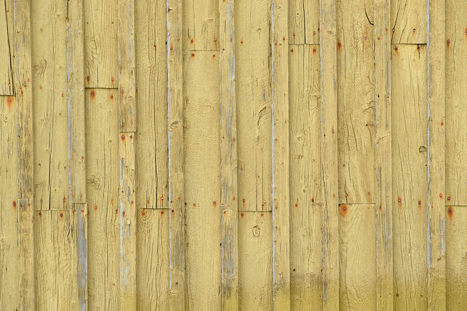 Yellow Wooden Rorbuer