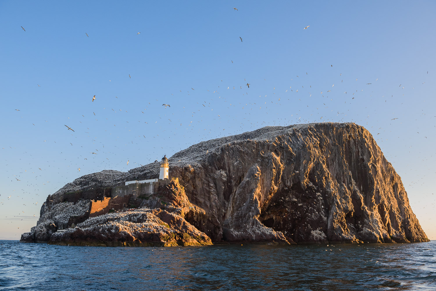 Bass Rock