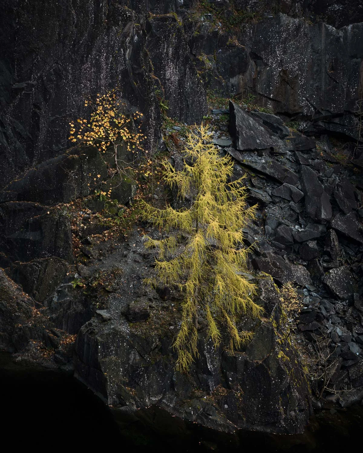 Hodge Close Quarry