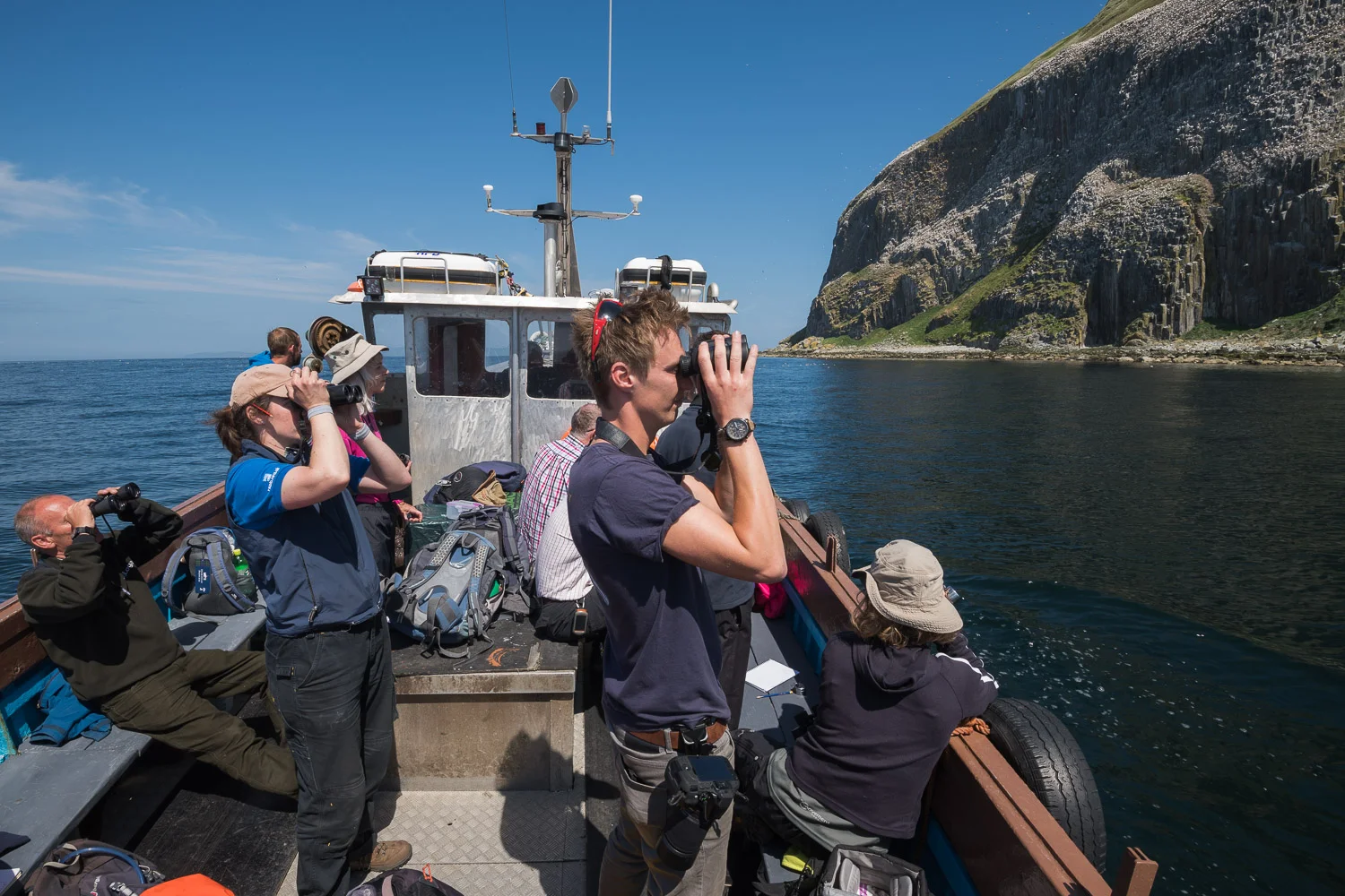 Seabird Survey