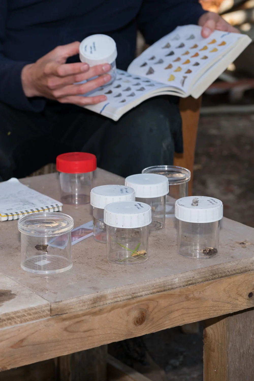 Identifying Moths