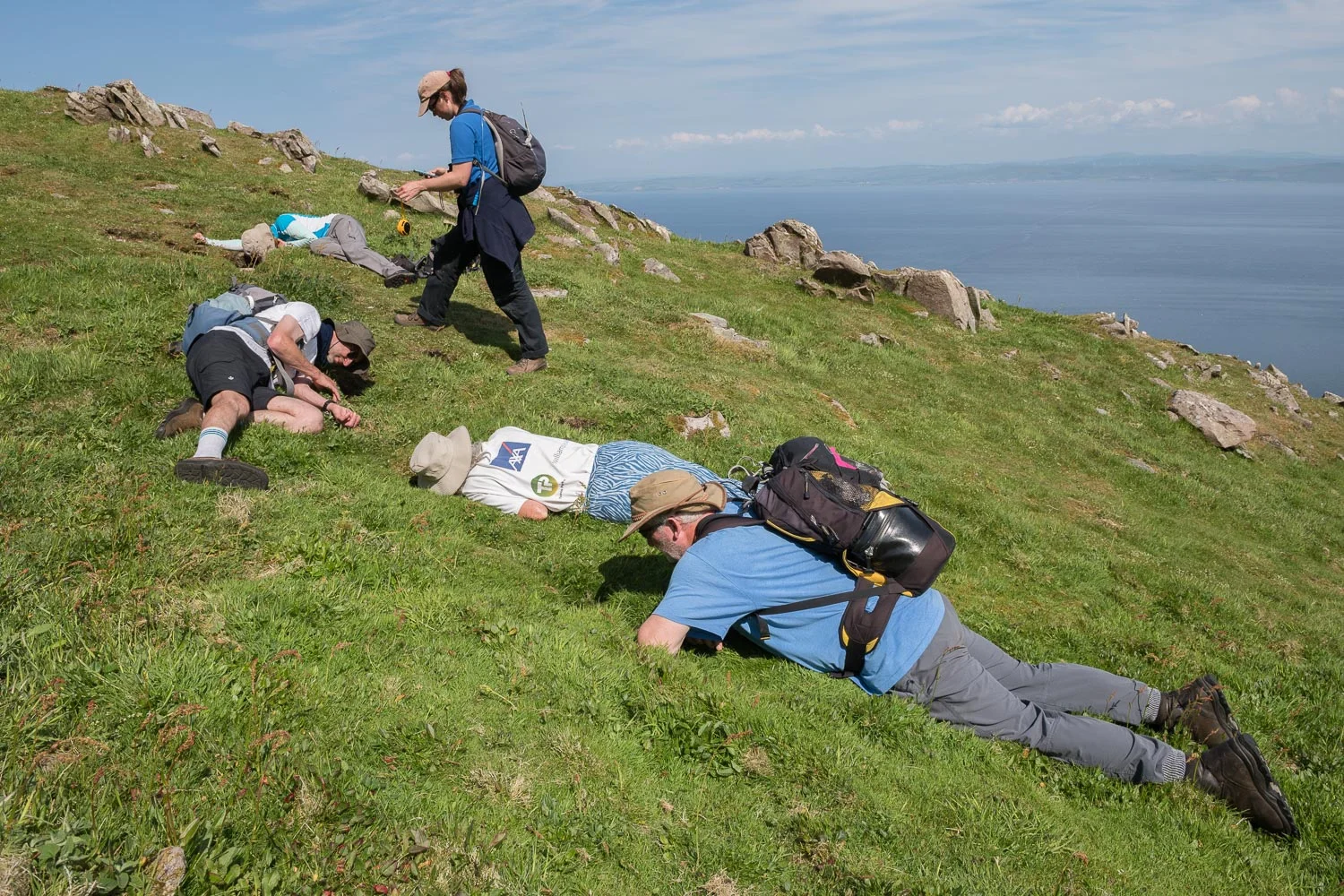 Manx Shearwater Survey