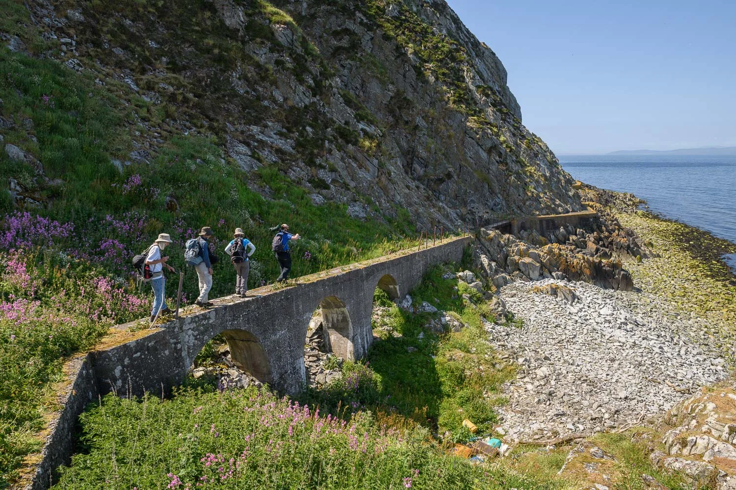 Seabird Survey