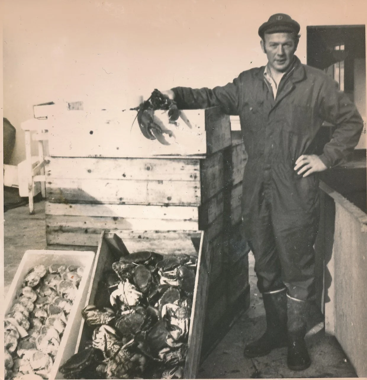 Karl Fjeldvær var en allsidig kar, skipperen som drev fraktefart i Midt-Norge. Han var lakseoppdretter og han arbeidet med krabbe. Her fra HitraMat sitt anlegg.