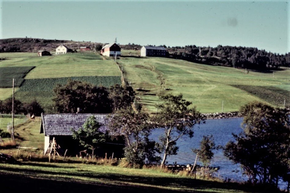Den gamle butikken (Eldhuset) ved Husvatnet på Strømsøra i forgrunnen, hvor Jonas Strøm og Sønner drev butikk. Bilde fra 1960-tallet. Boligen til Trygve med butikklokale kan sees som lys bygning øverst på bakken, litt til venstre i bildet. Bildet tilhører Tore G. Strøm.