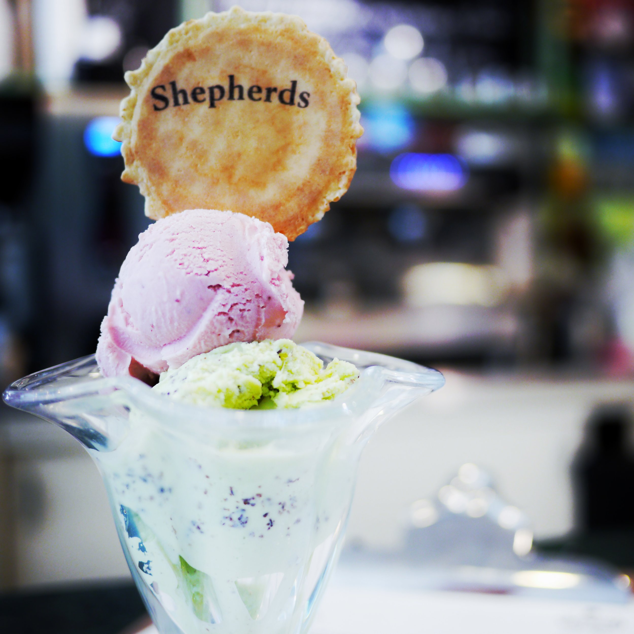 IMG_1695.JPG