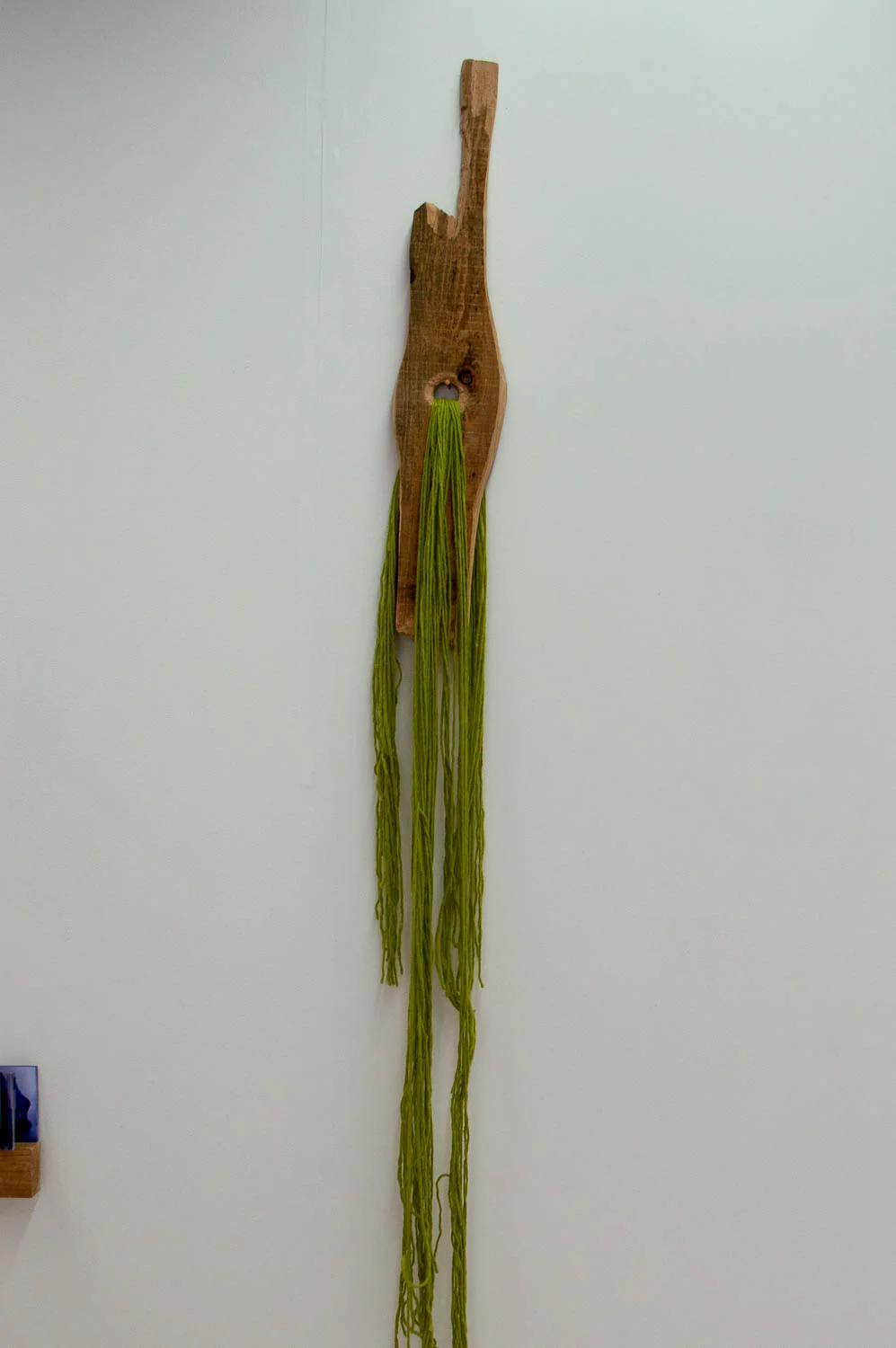 DSC_0075.jpg