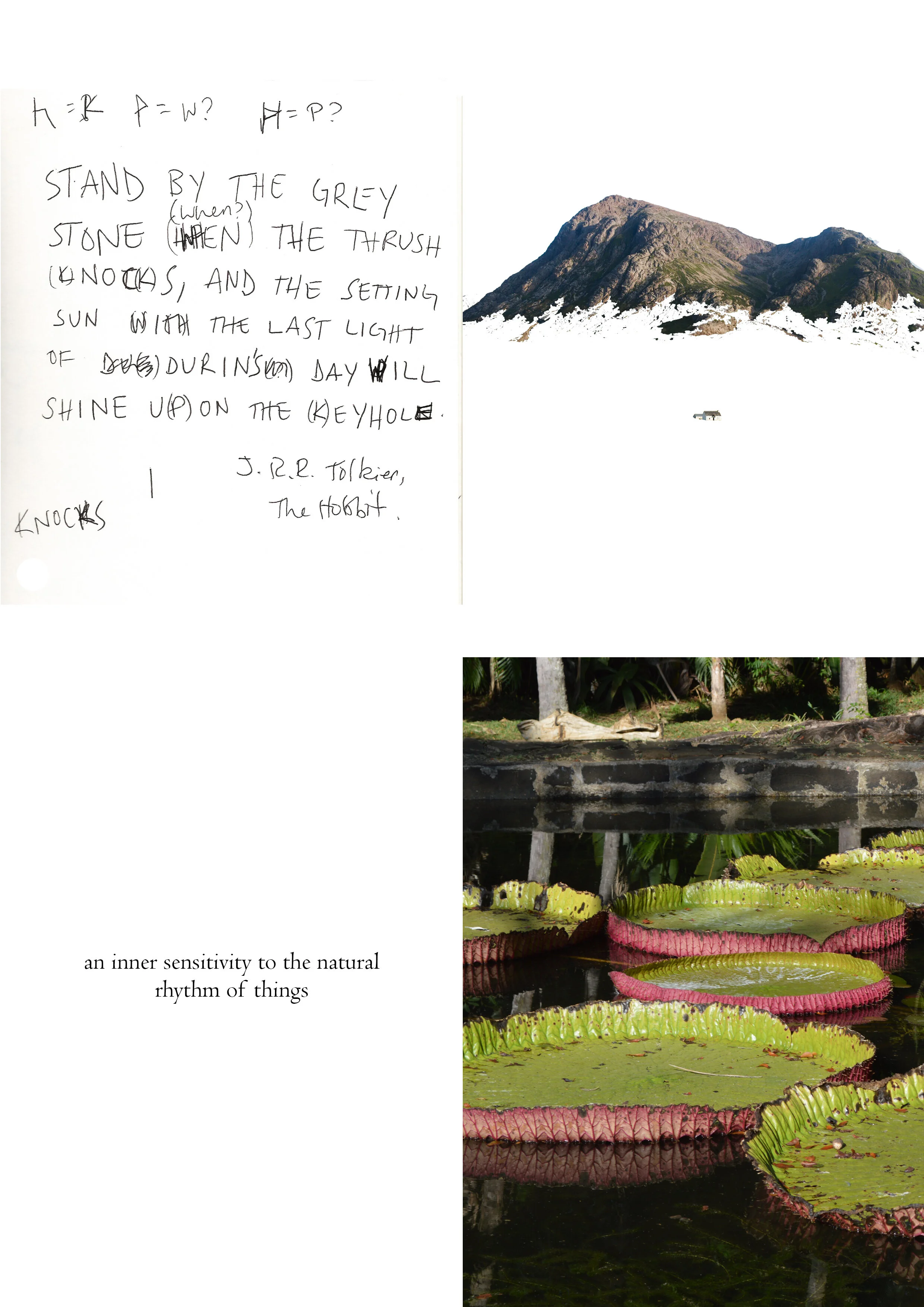 Untitled-14.jpg