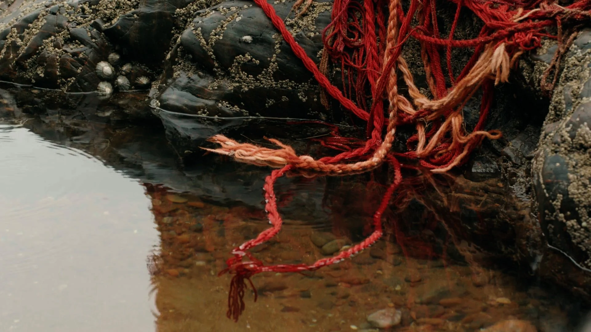 rough cut 1.01_06_59_14.Still019.jpg