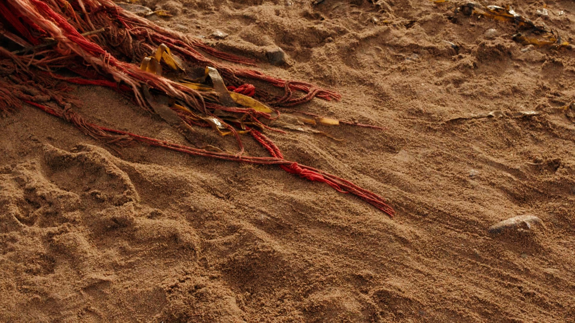 rough cut 1.02_05_39_03.Still017.jpg