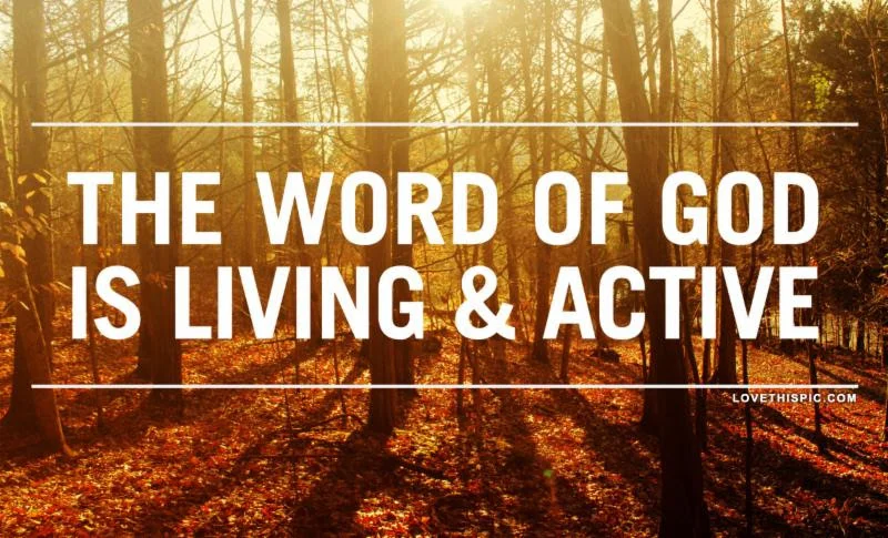 Living &amp; Active