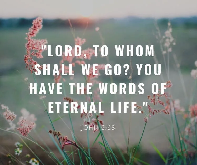      

 
       John chapter 6 records a time when some of the wider group of people who had been following Jesus left him – they were struggling to accept his teaching and its implications.    Jesus then turns to the 12 disciples and asked them if t