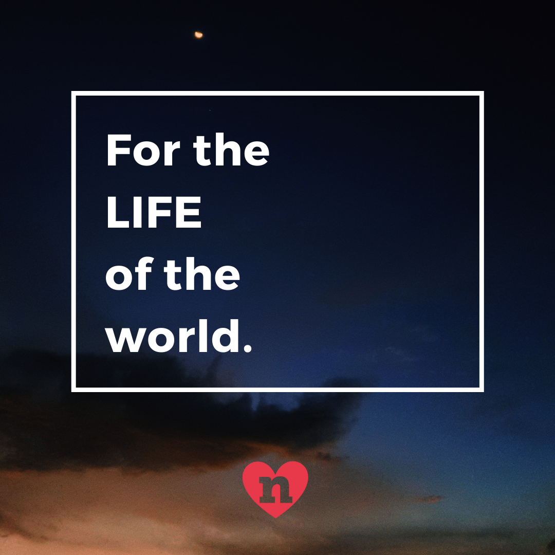      

 
    For the life of the world.   That’s what Jesus said.   This bread is my flesh.    Which I will give.    For the life of the world.   For  The  Life  Of  The  World.  For the cosmos.  For the world, the universe and everything in it.  For