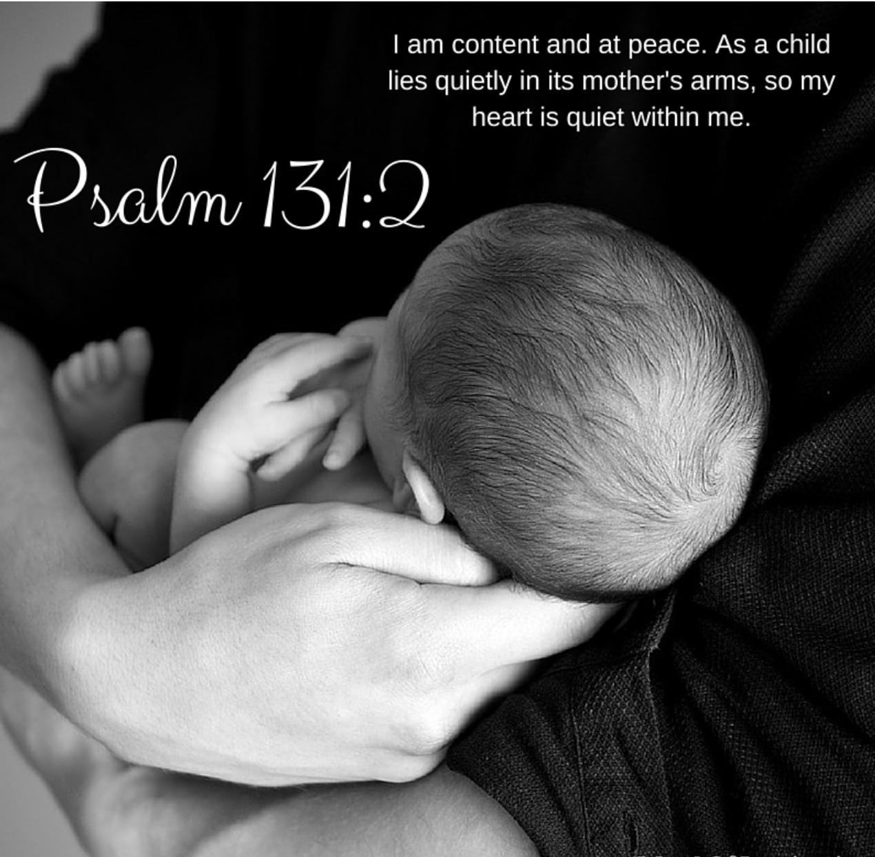 Psalm 131