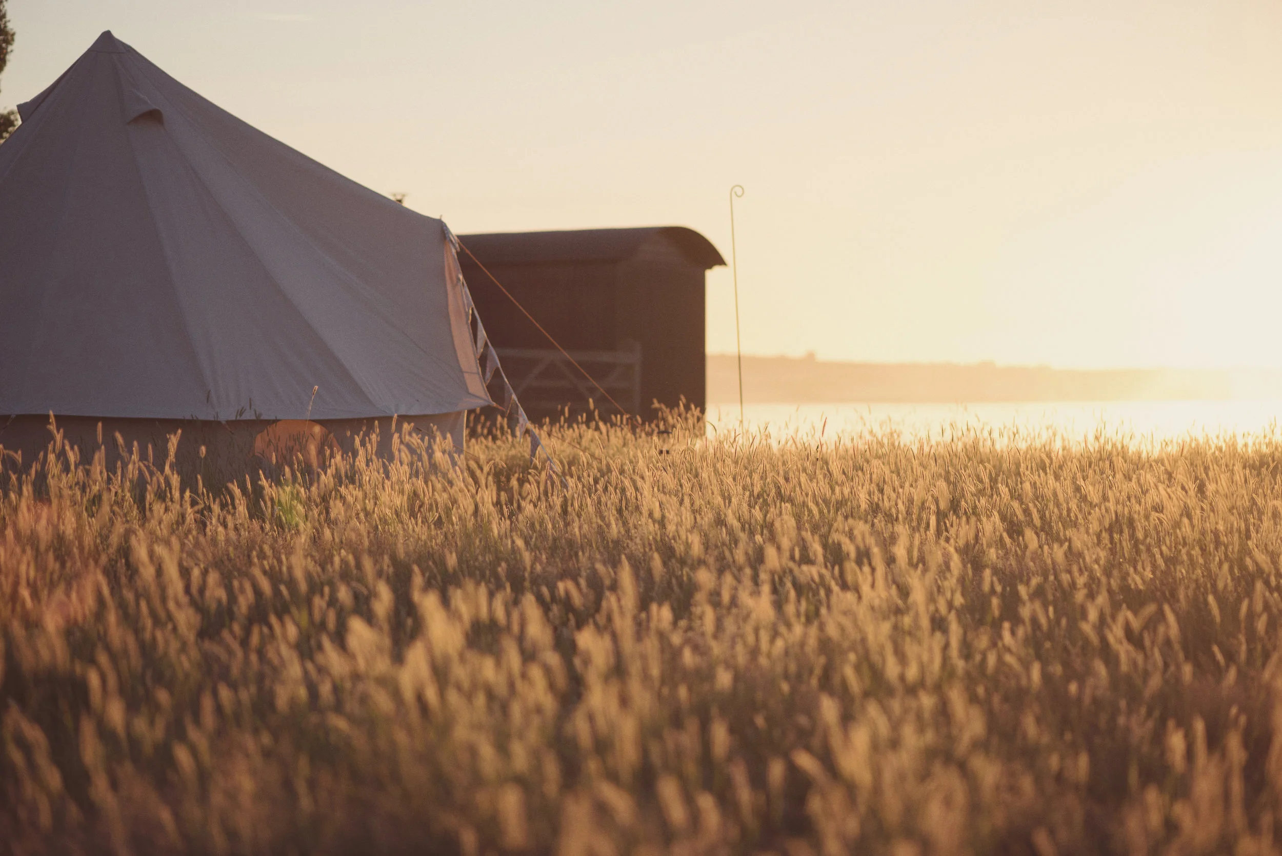 Elmley Nature Reserve Sunrise Tuesday 30th June 2015 -133.jpg