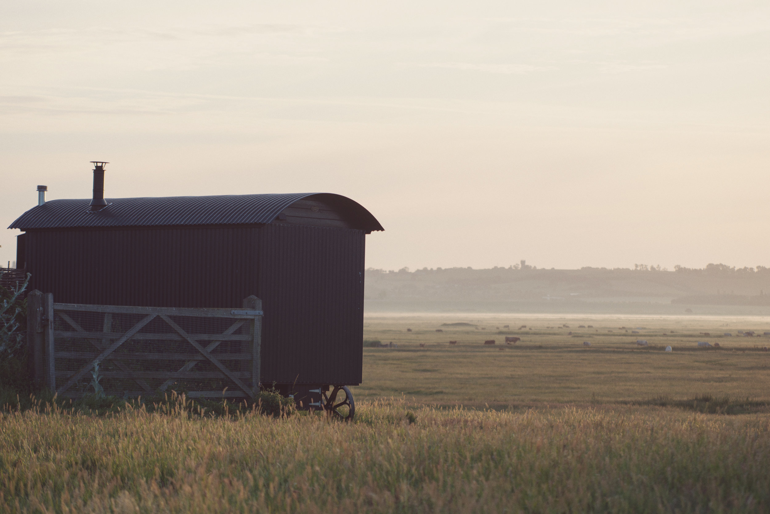 Elmley Nature Reserve Sunrise Rebecca Douglas Photography.jpg