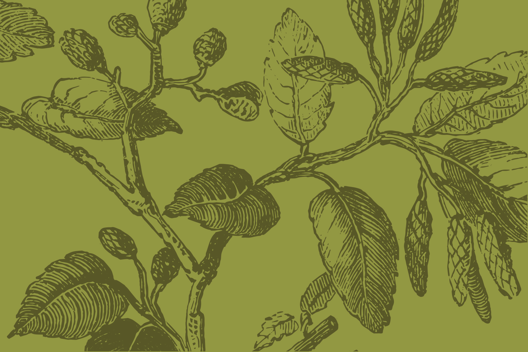 HOMEPAGE-green-pattern.jpg