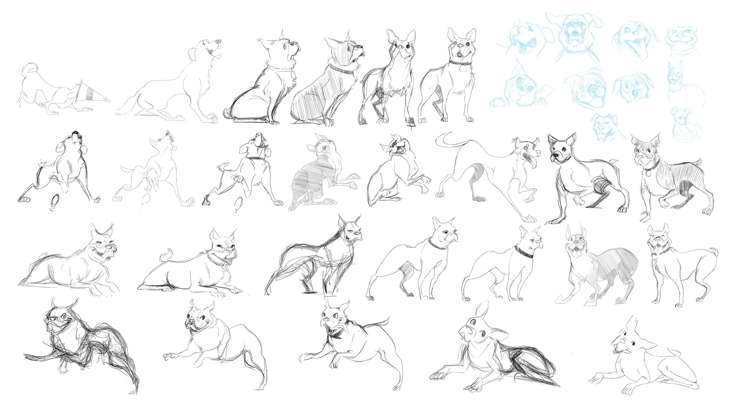 Dog_Character_First_Pass_Portfolio.png