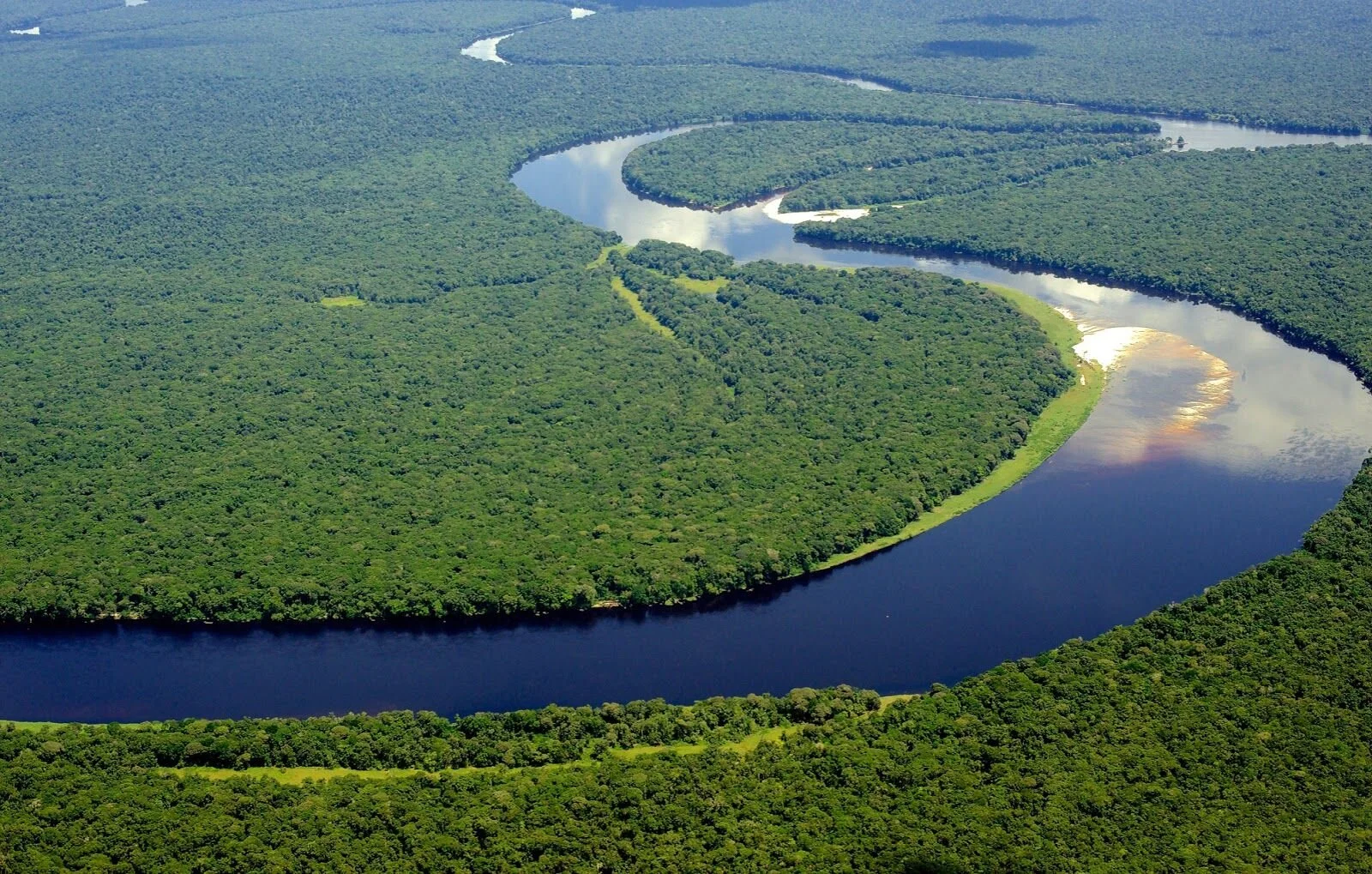 River and Forest.jpg