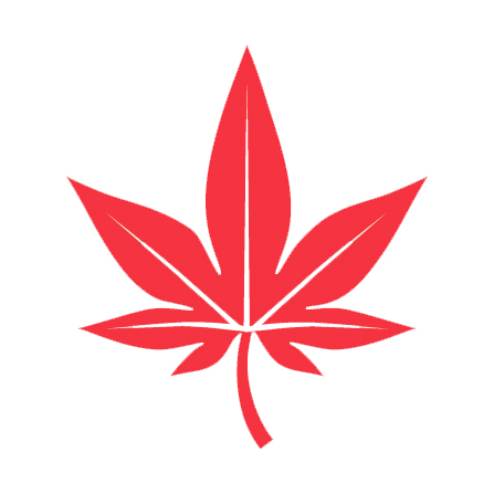 BOAST_Leaf.jpg