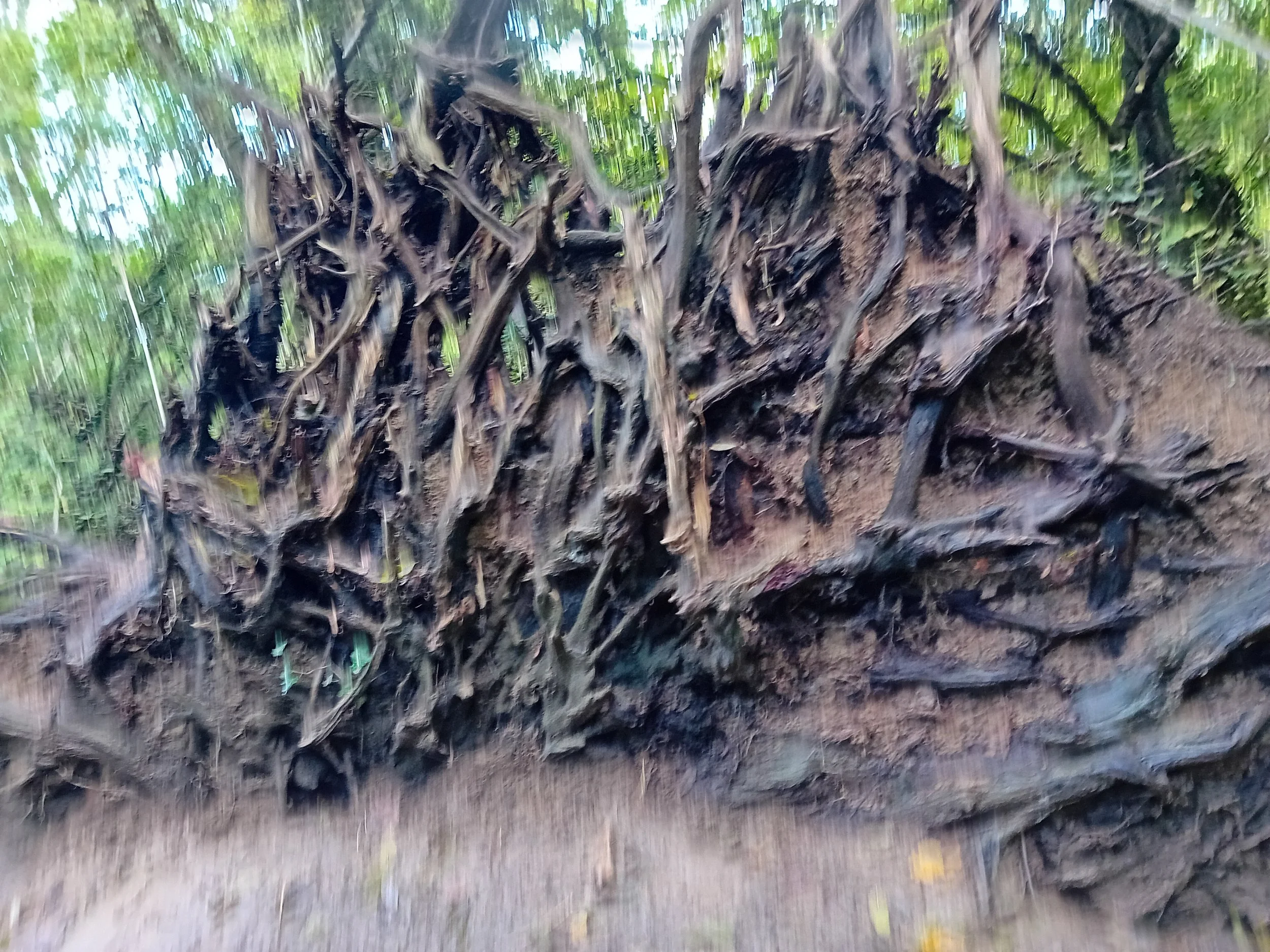 Love Where You Live walk to the sculpture trail — Lockleaze