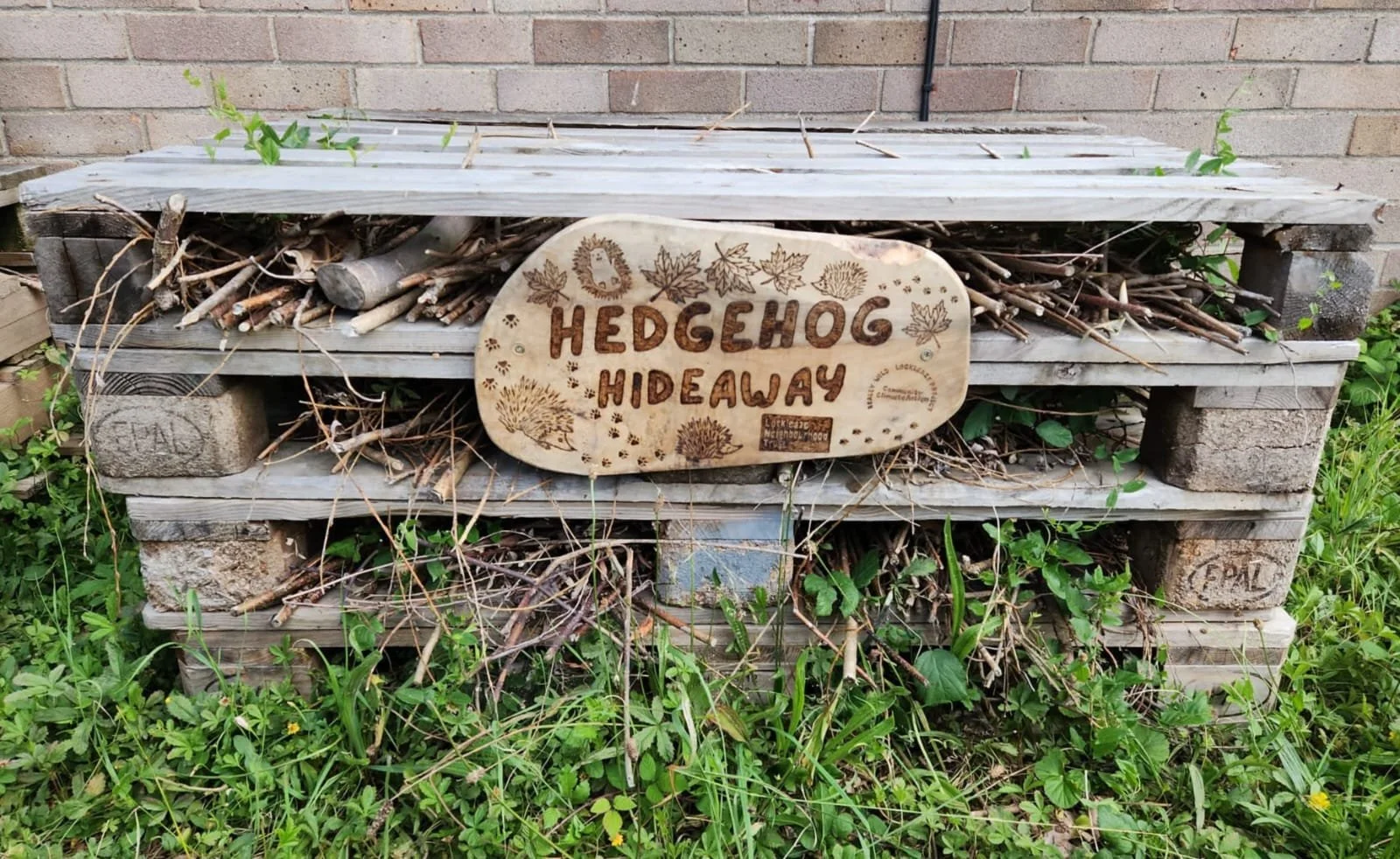 Feel Good Friday new Pyrography signs from a local resident