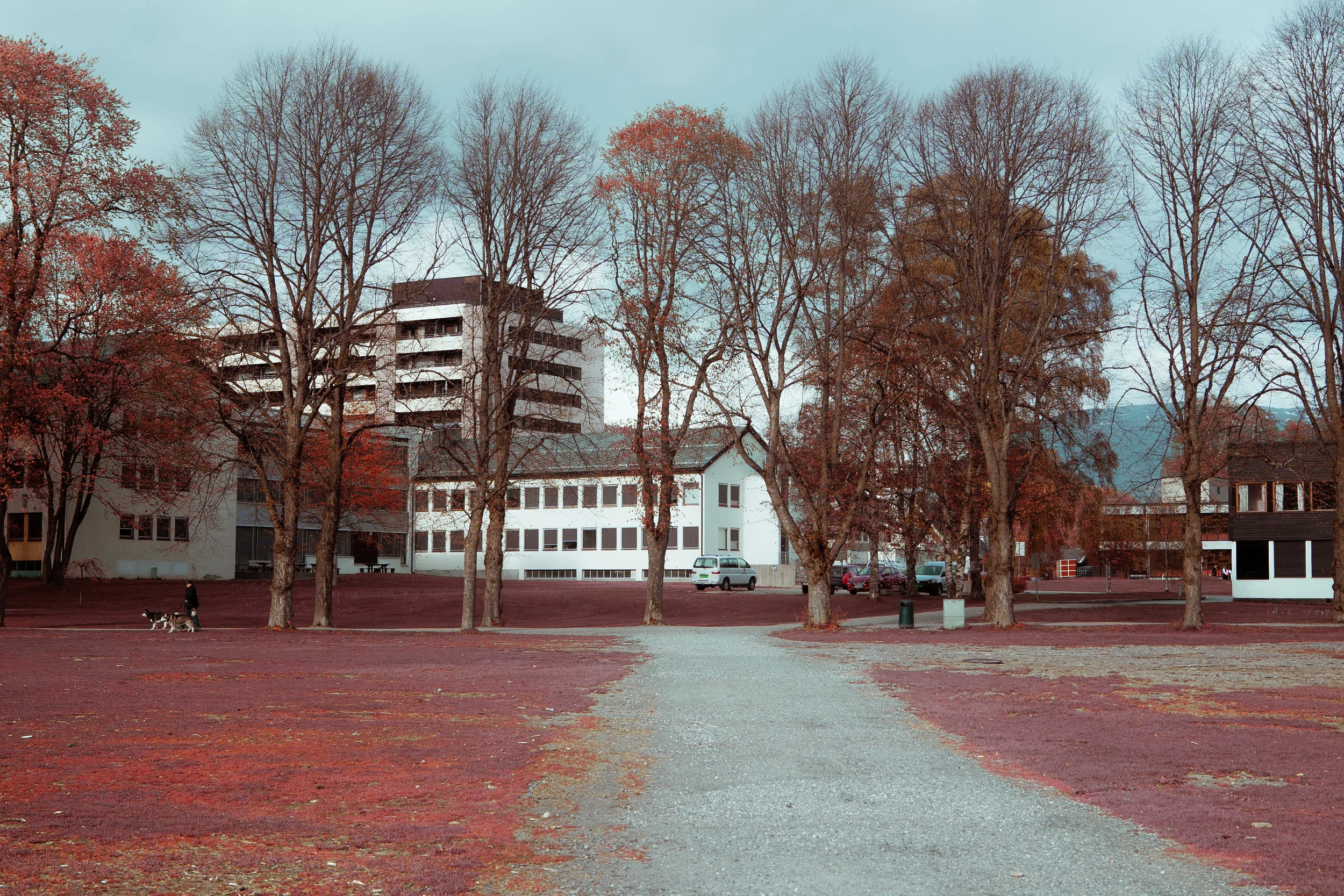 _DSC8298.jpg