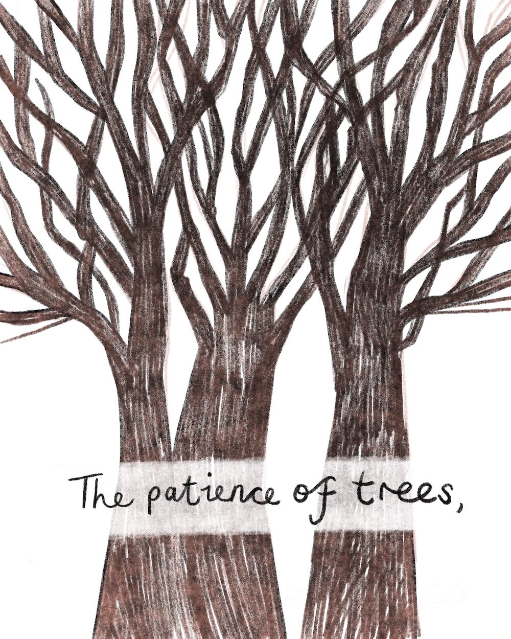 Patience_Of_Trees _Trudi_Murray_for_web copy.jpeg