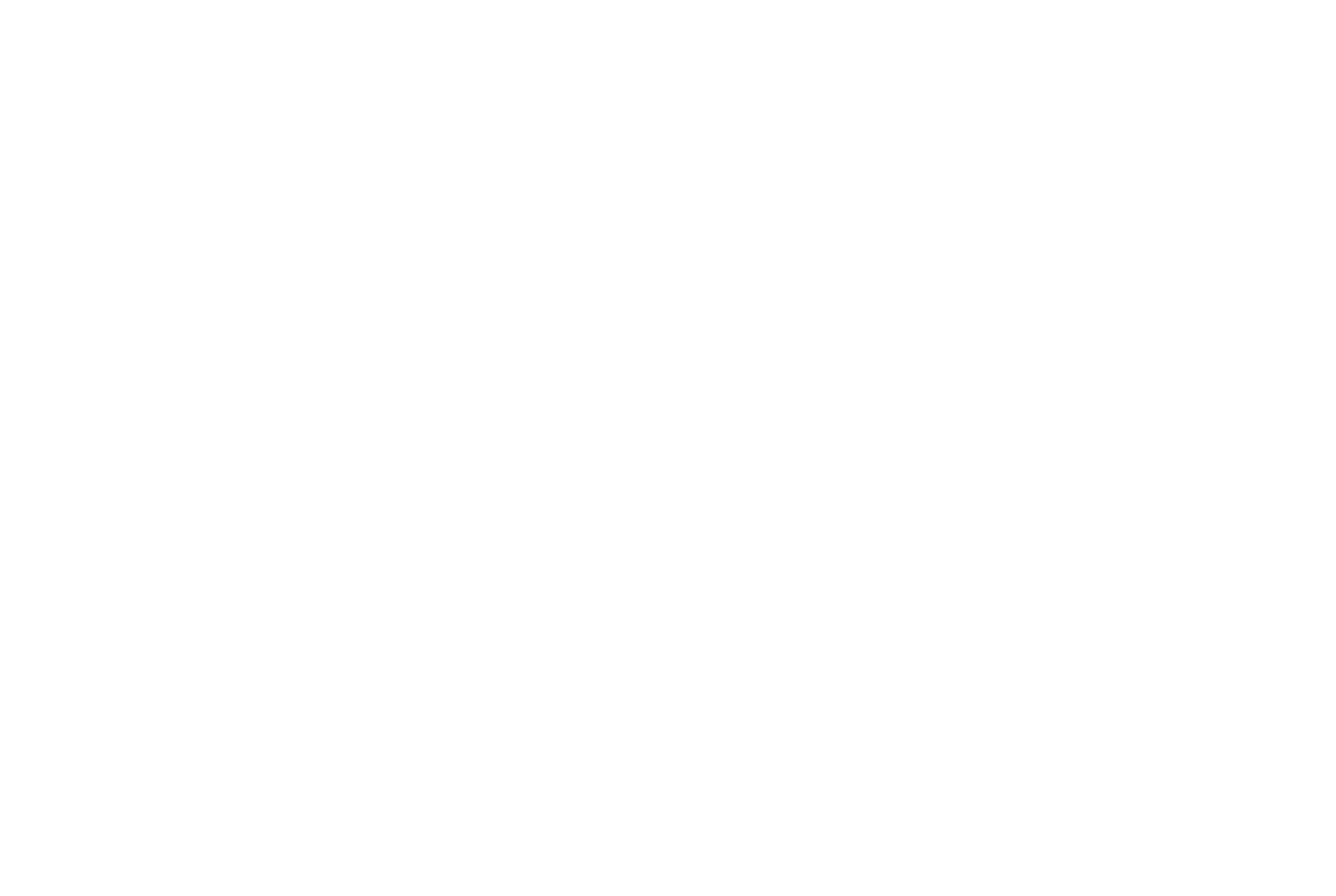 The Concierge
