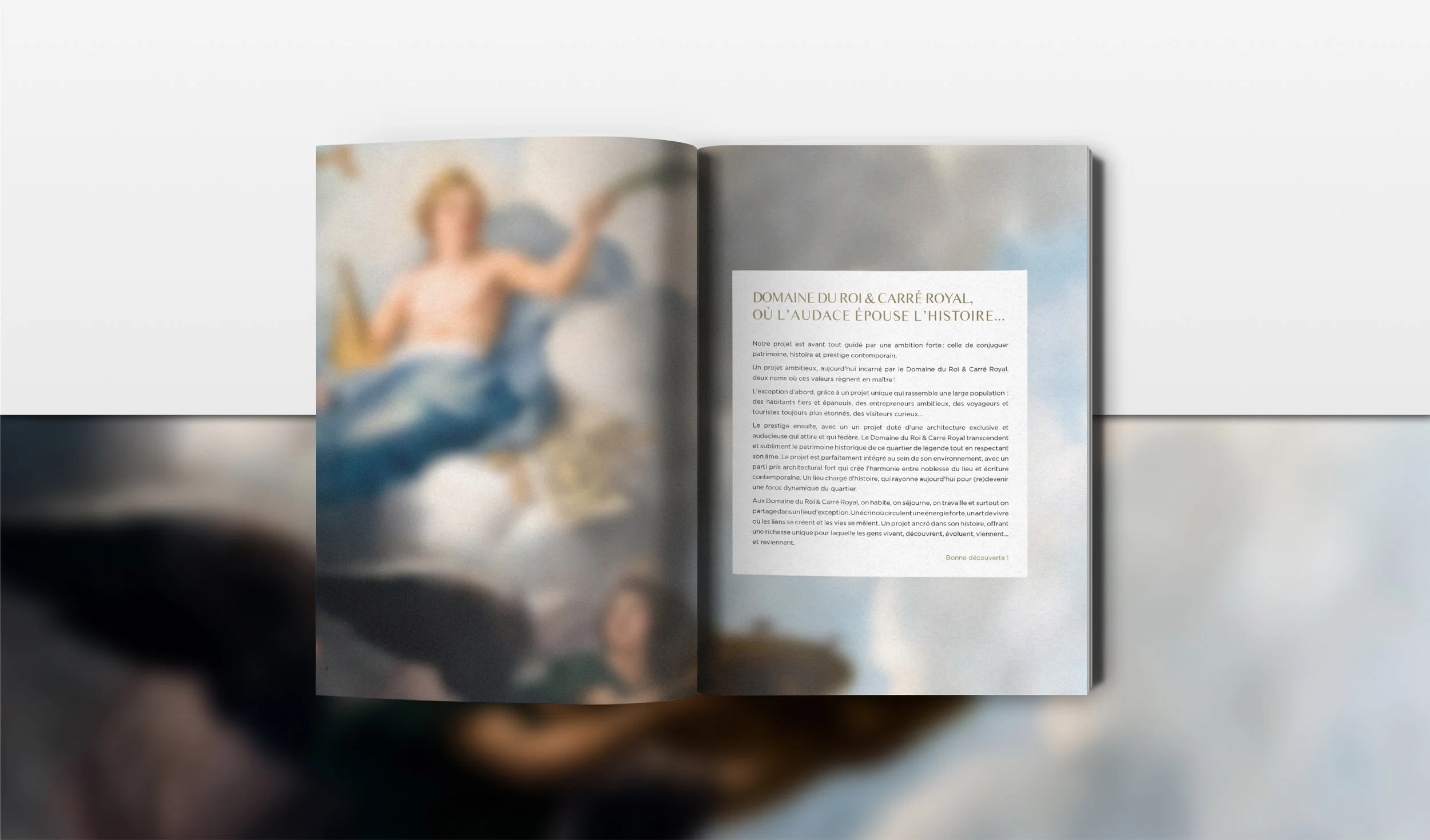 alizealmozinosdesign_carreroyal_domaineduroi_immobilier_brochure_graphisme_01.jpg