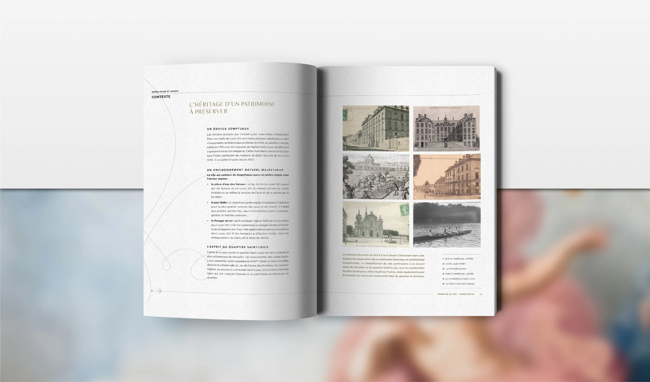 alizealmozinosdesign_carreroyal_domaineduroi_immobilier_brochure_graphisme_03.jpg