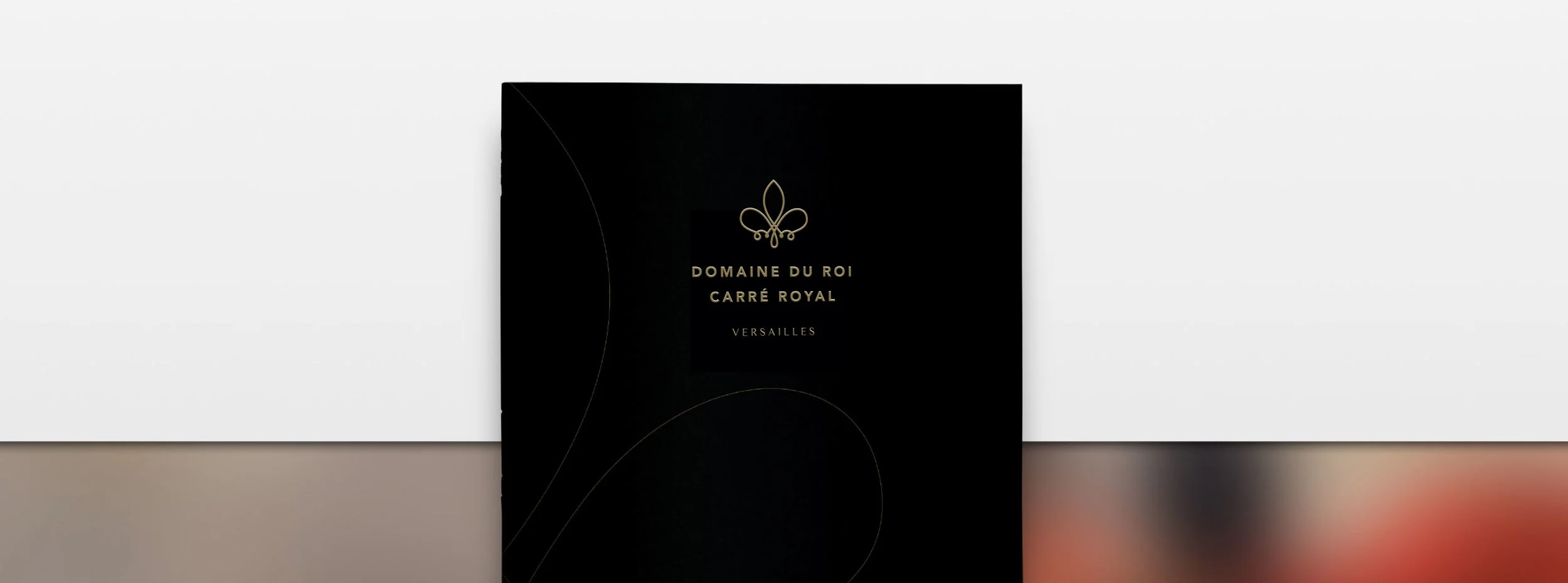 alizealmozinosdesign_carreroyal_domaineduroi_home_edition_immobilier.jpg