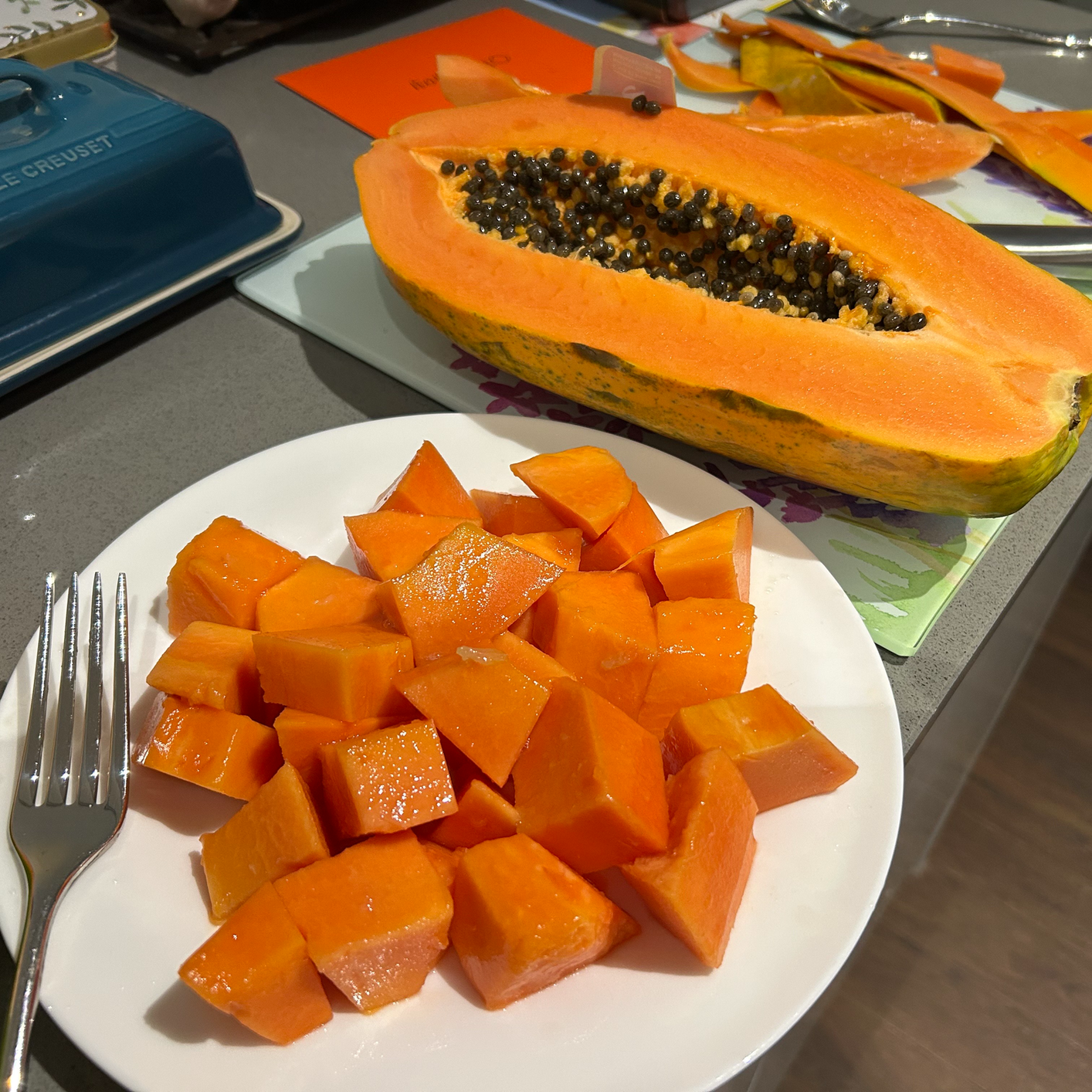 That Time I Almost Missed Out on Delicious Papaya: A Story About Predictive Processing, Pain, and Recovery