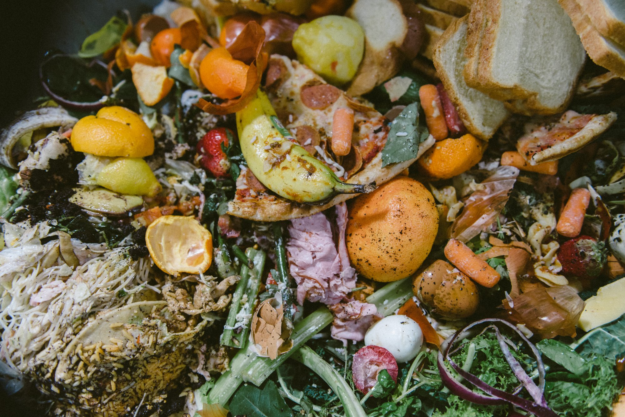 Employment Opportunities — Rust Belt Riders: Feed People, Not Landfills