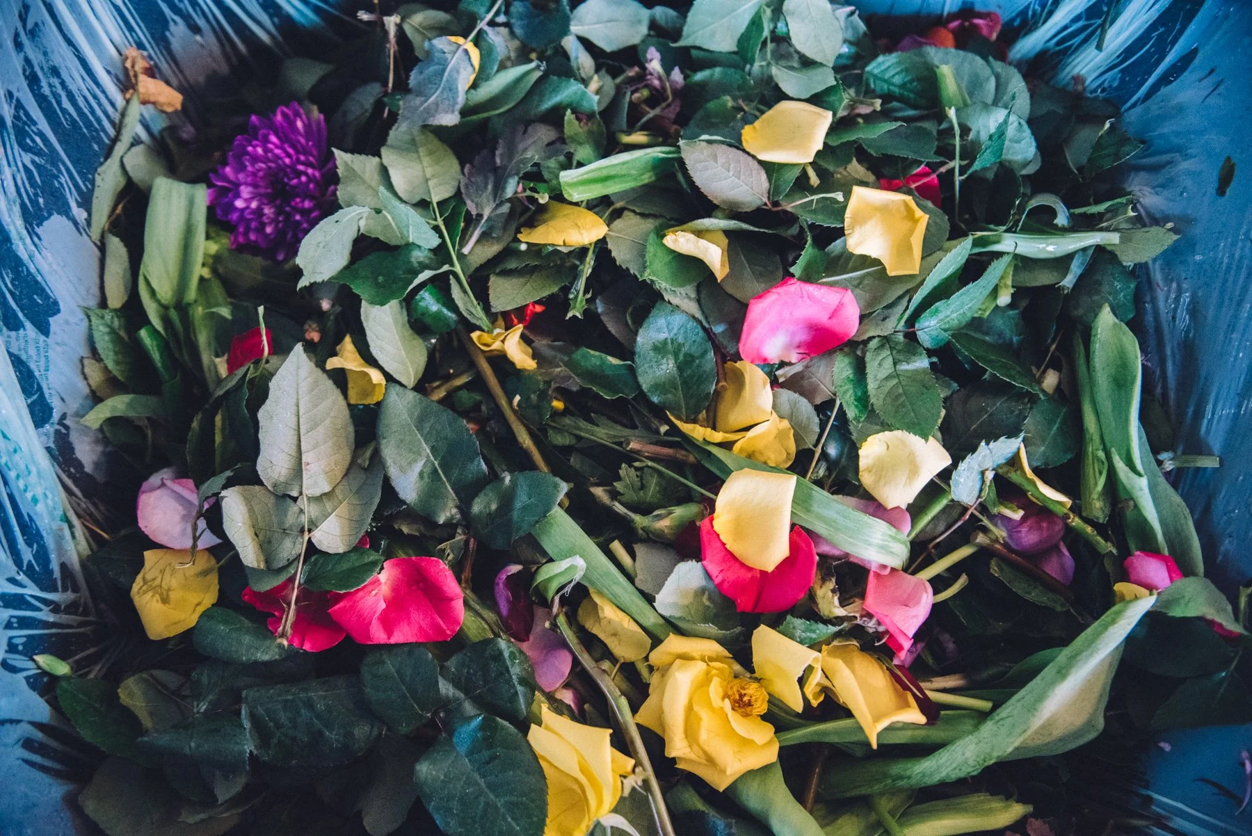 Blog — Rust Belt Riders: Feed People, Not Landfills