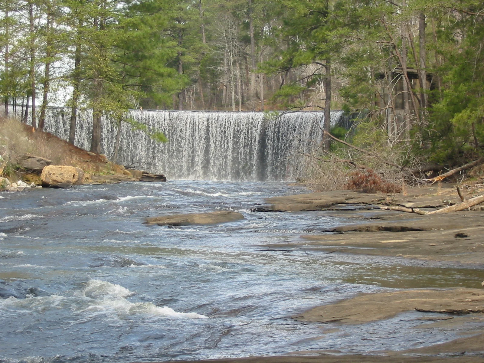 125-2580_IMG.JPG