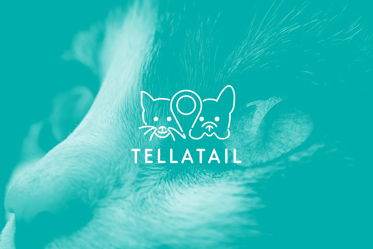 WEBSITE_Tellatail_Image_Logo_White_1500x1000.jpg