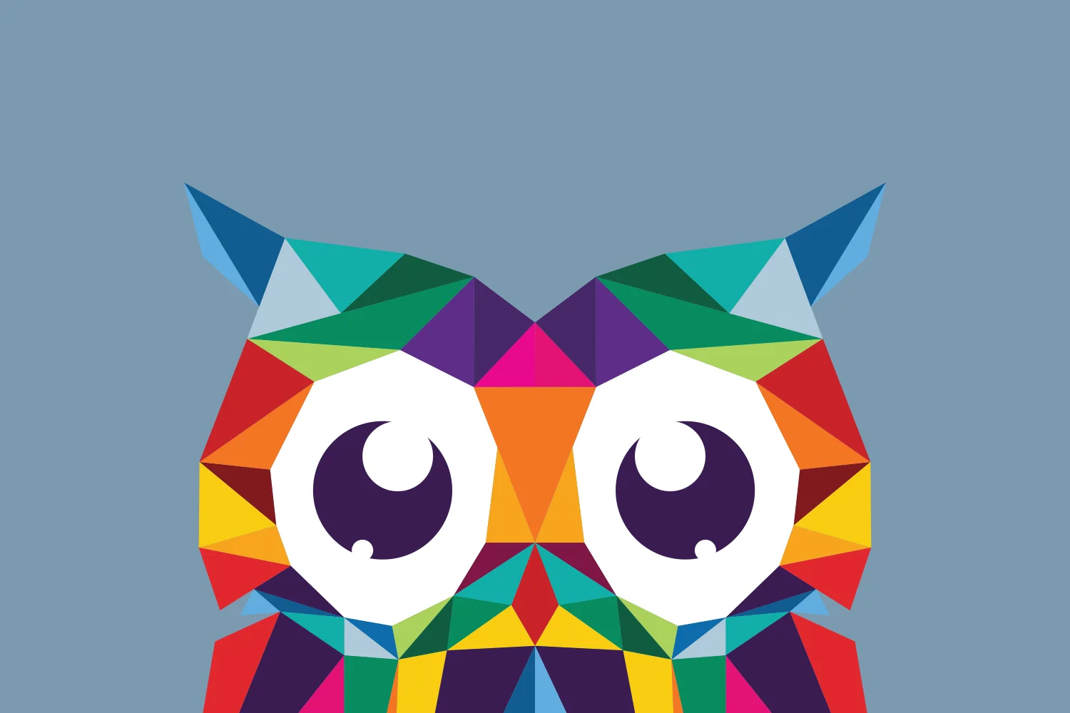 WEBSITE_Taylored_Learning_Support_Image_Owl_Colour2_1500x1000.jpg