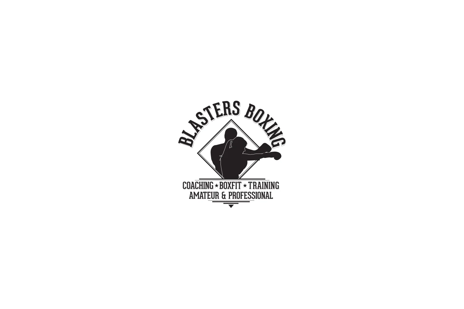 WEBSITE_Blasters_Boxing_Image_Logo_1500x1000.jpg