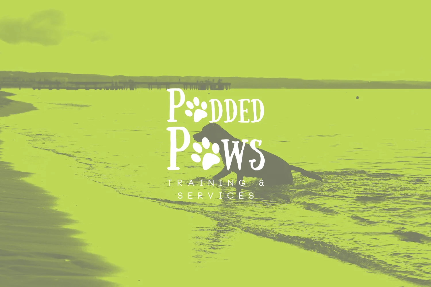 WEBSITE_Padded_Paws_Logo_Colour2_Image_1500x1000.jpg