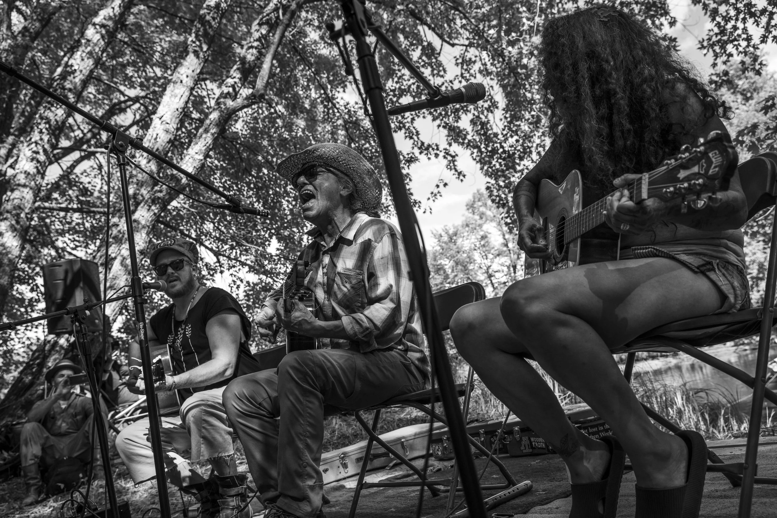 palisade gutt resistors best.jpeg