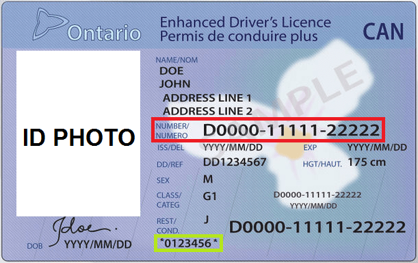 ¿Cómo obtener tu licencia de conducir en Ontario?