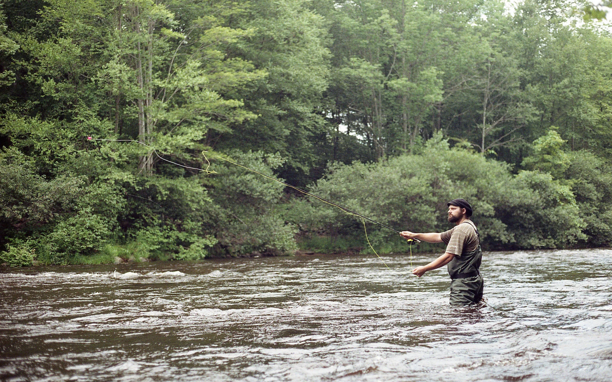 fly fishing_CC flickr_Patrick Gensel.jpg