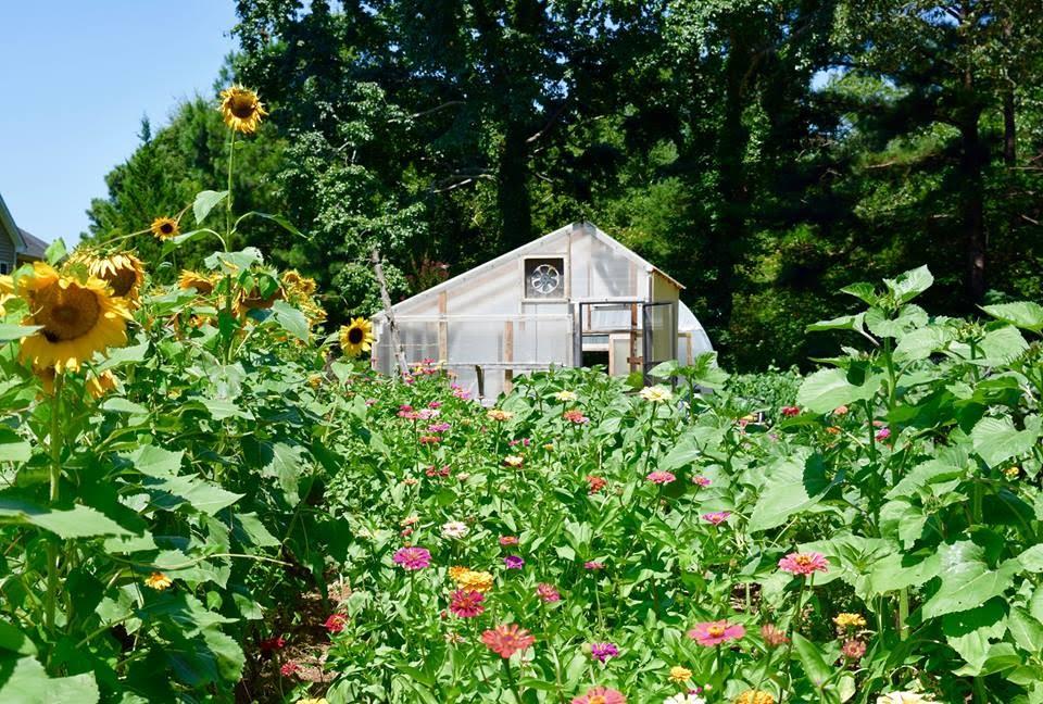An Interview with Well Fed Community Garden Farmer, Morgan Malone