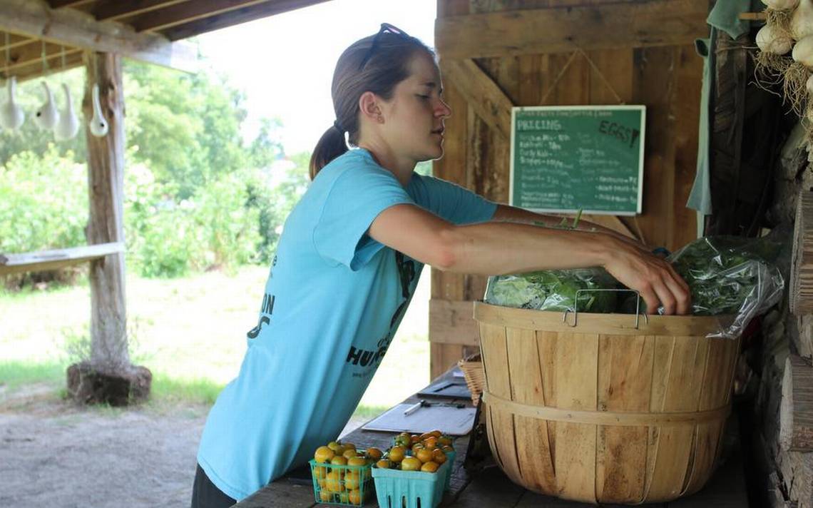 Raleigh might look to Capital Area Food Network for help with urban agriculture