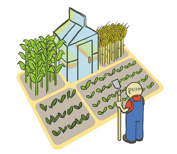 Local Food Councils in Wake County Are Tackling Hunger Issues Head-on 